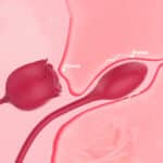 Rose Toy Nipple Suckers