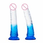 Two-Color Transparent Dildo 8.7 Inch Realistic Penis G-Spot & Clitoral Stimulator