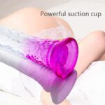 8.7 Inch Transparent Dildo Two-Color Realistic Penis with Suction Cup for Women