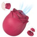 2 in 1 Sucking Rose Vibrator