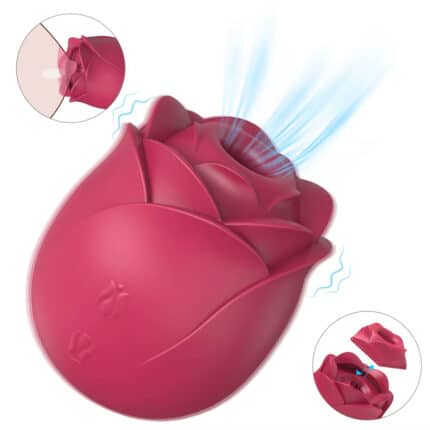 2 in 1 Sucking Rose Vibrator