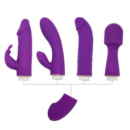 Luxury 4-in-1 Kit Rabbit Vibrator
