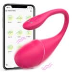 App-Controlled Wearable Panty Vibrator