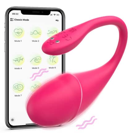 App-Controlled Wearable Panty Vibrator