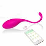 APP Kegel Exercise Ball