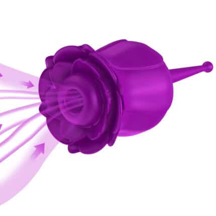 Rose Flower Vibrating Sucker
