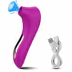 High Quality Dolphin Mini Suction Vibrator