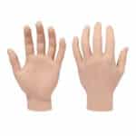 Adjustable Training Hand Display Model False Hand for Jewelry Display and Practice Stand